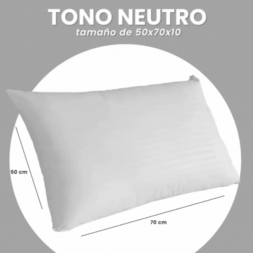 2 Almohadas Confort Pareja Siliconado